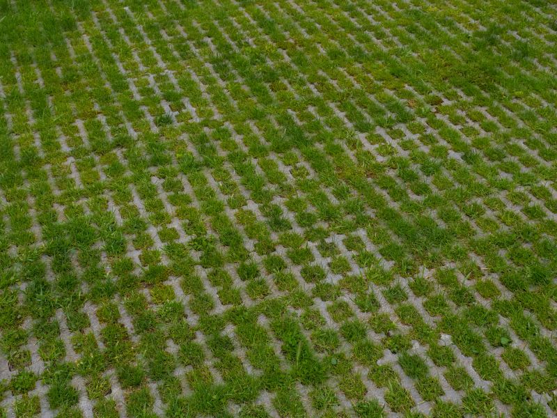 Sealed Paver Surface