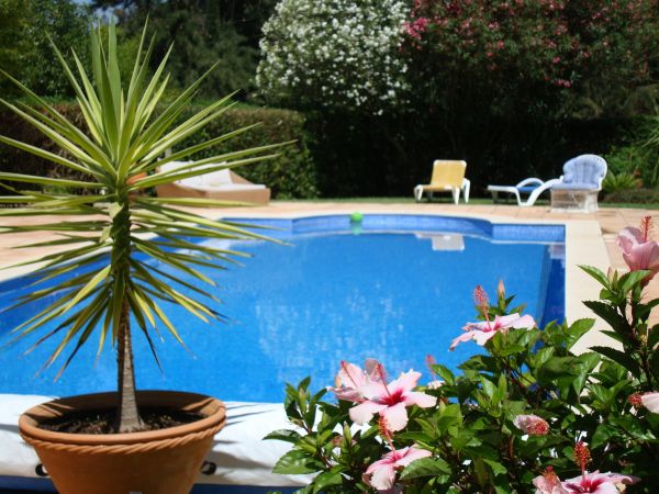Pool Terrace Renovation in Brownsburg